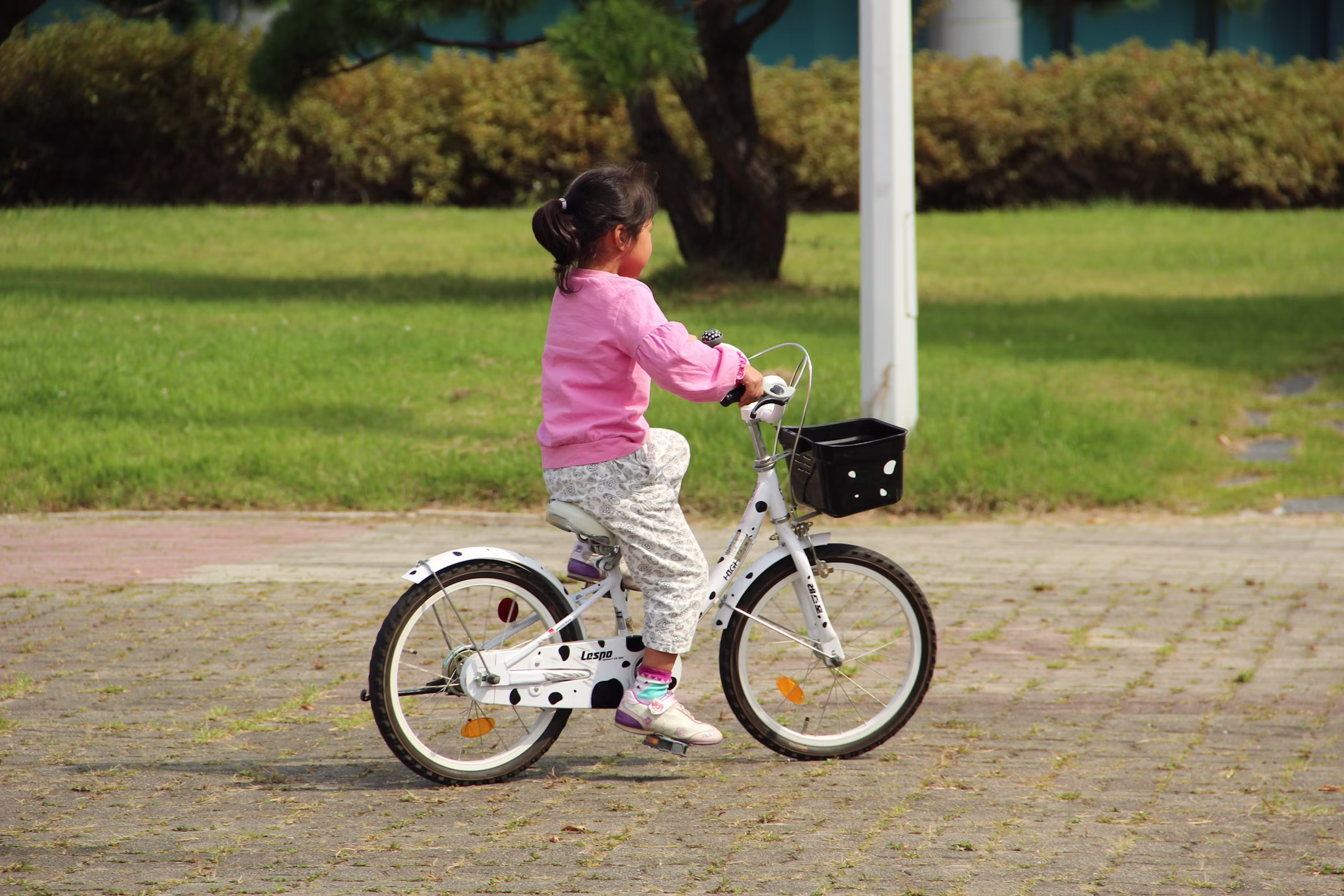Young child riding a bike on a path in the park